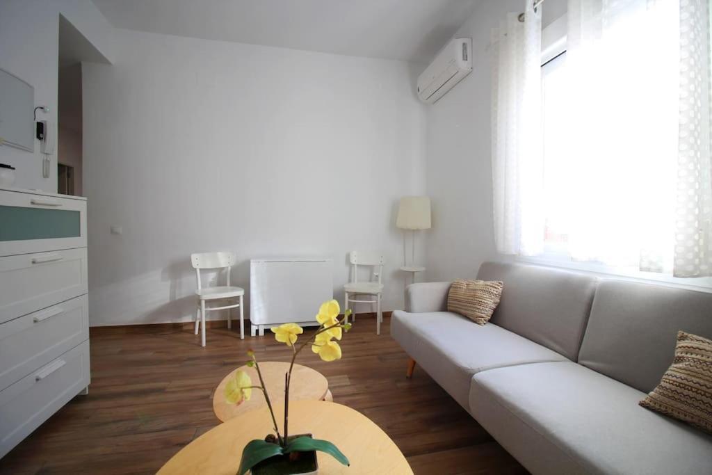 Appartement Centro - Carrion Mejias *